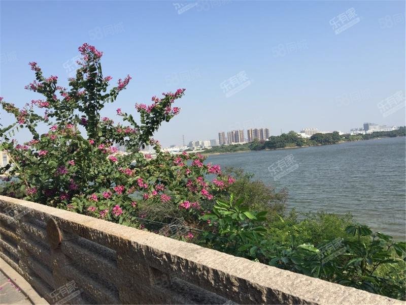 龙翔山庄,看立新湖全景的独栋别墅,510平城堡,业主诚售