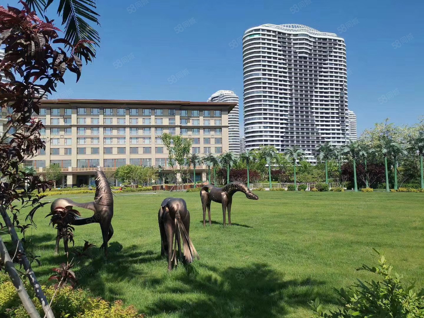 高层海景房 随时看房,佳兆业东戴河-葫芦岛58同城