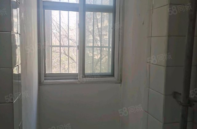 南湖东园(二区)2室1厅61.35㎡416万二手房图片