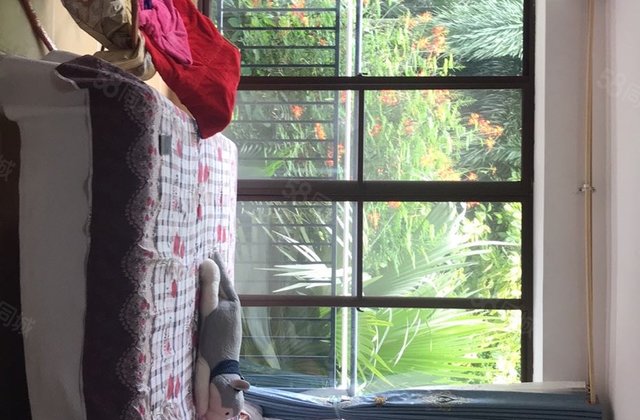 鹭湖国际养生度假区1室1厅36.32㎡50万二手房图片