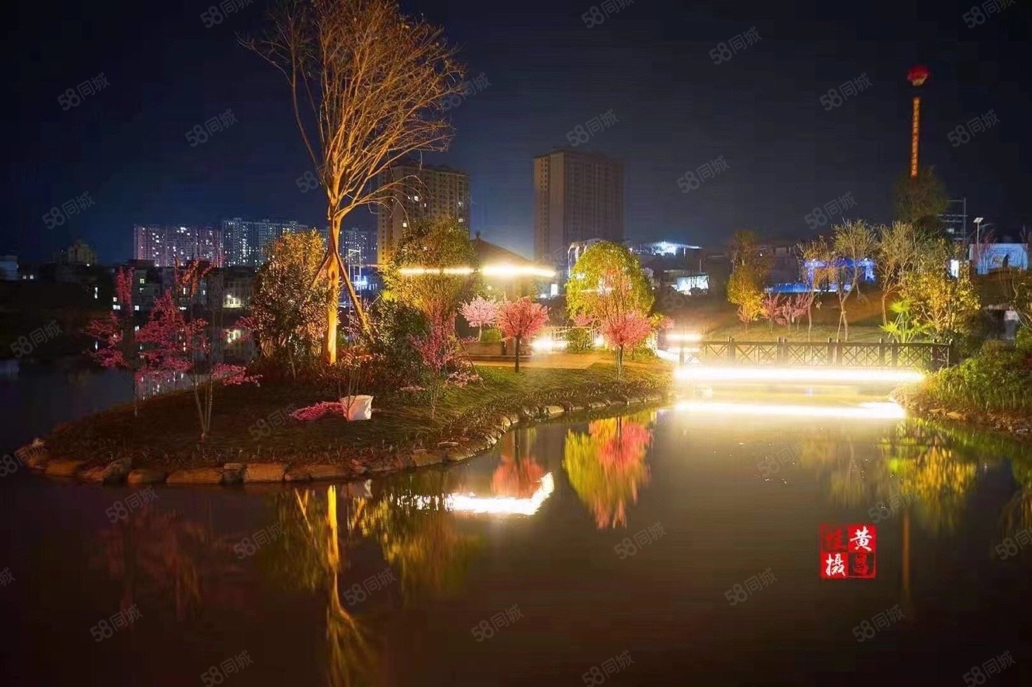 横县龙池湖夜景图片