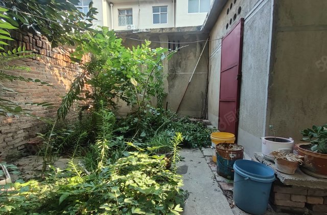 市中心公园附近一楼带院 宝徕花园 园东小区停车方便