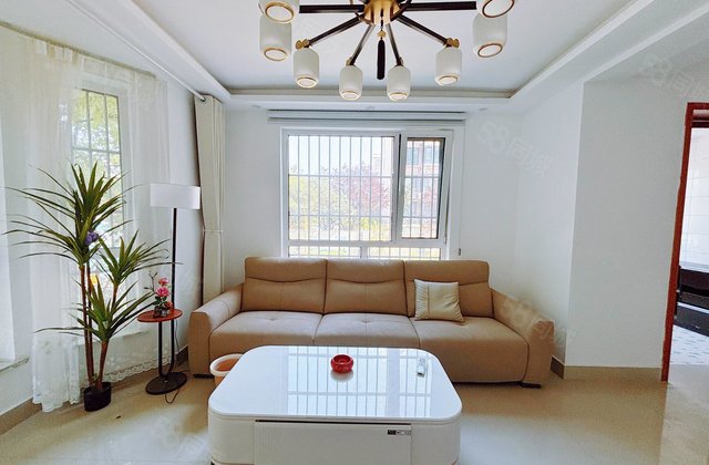 房东急售  城市主人 电梯房 满二 2室2厅 采光好