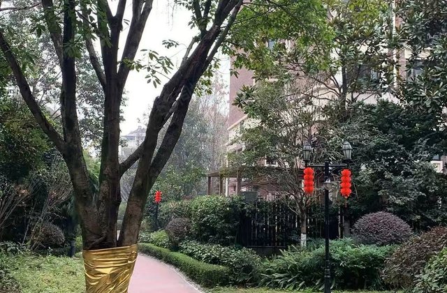 北欧知识城一期6室2厅106.2㎡200万二手房图片