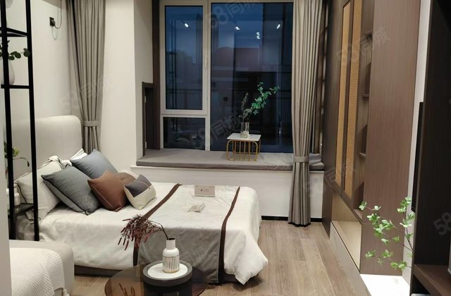 总价不过20  无中   新房一手精装 电梯房  精装修