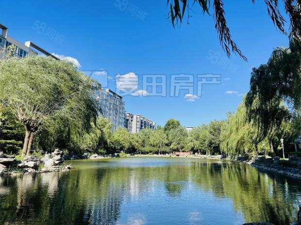 魯藝上河村(三區(qū))4室2廳4衛(wèi)263㎡南北3380萬(wàn)