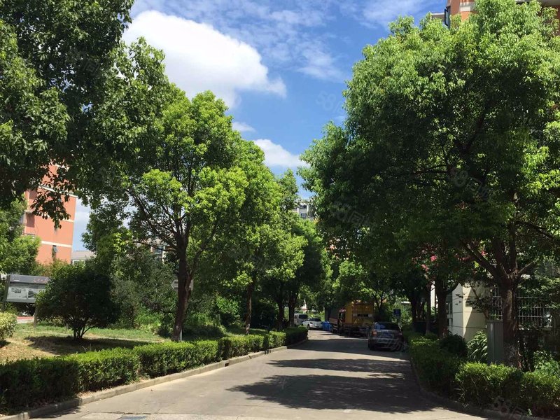 海馨苑 180万置换急售 满五 住房 居家自住 保养,庆滨路155弄-上海58