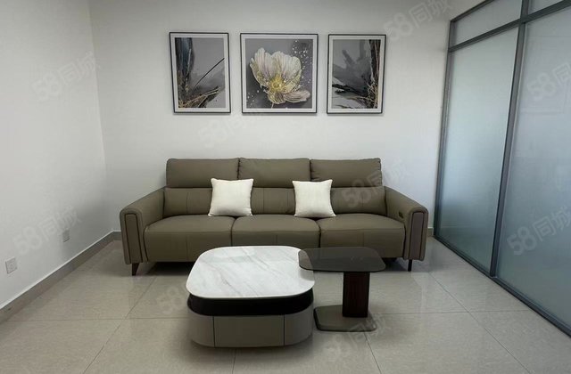 香江附近~水城雅居电梯房~精装三室~免大税 停车方便