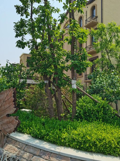 鸿坤悦山湖2室2厅1卫78㎡南北60万