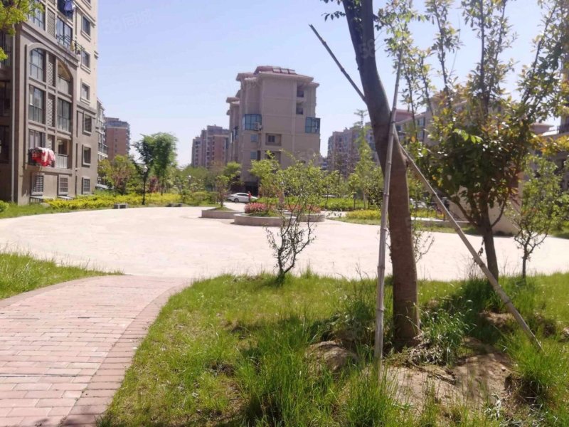 品质小区 碧桂园天玺 华建颐园 改善   楼层好