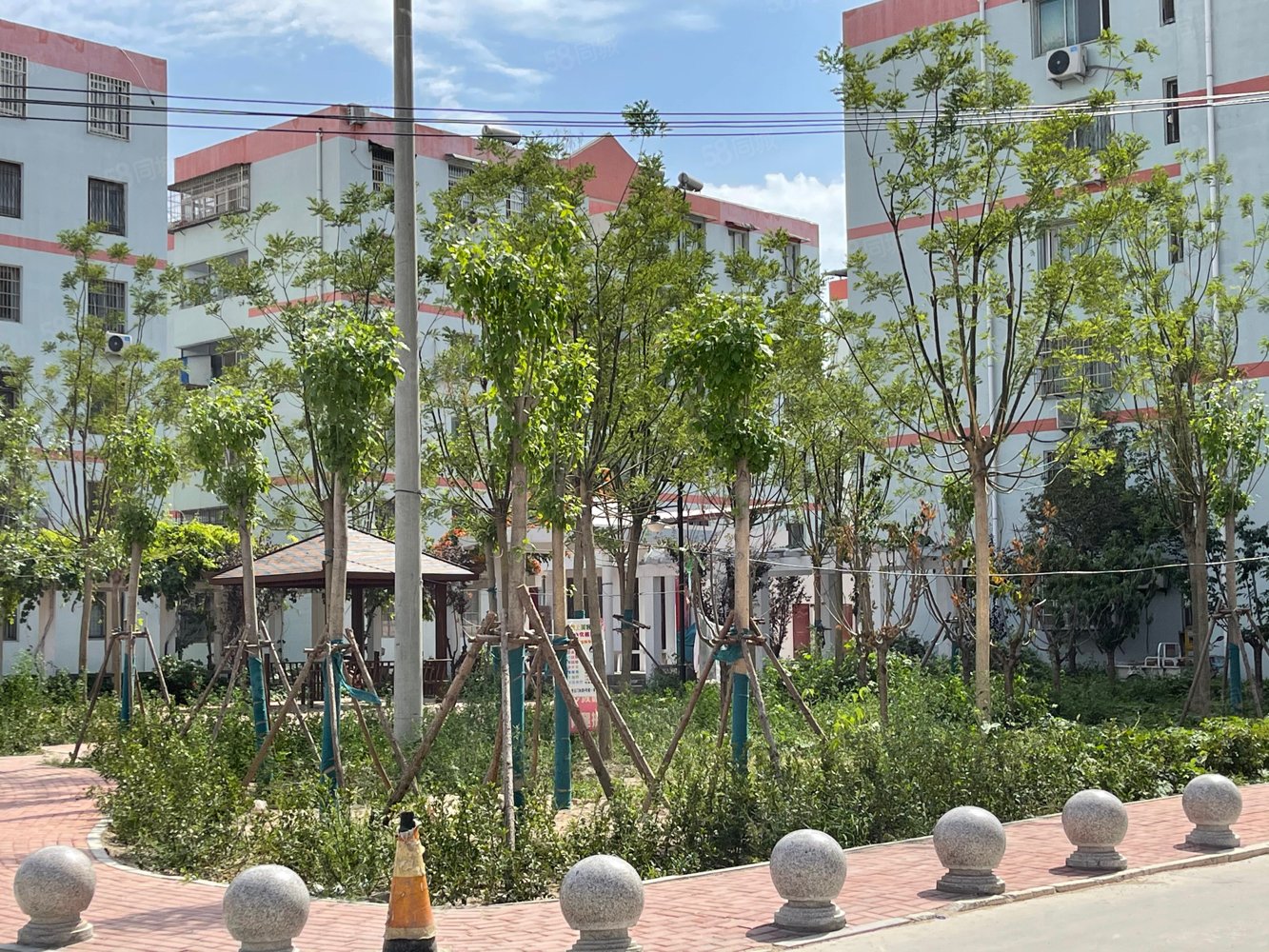 【10图】东苑小区一期一楼后院精装三室一厅可按揭贷款,东苑小区-开封