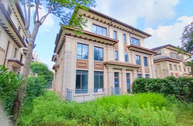 龙湖湘风原著(A2别墅)5室3厅264.25㎡501万二手房图片