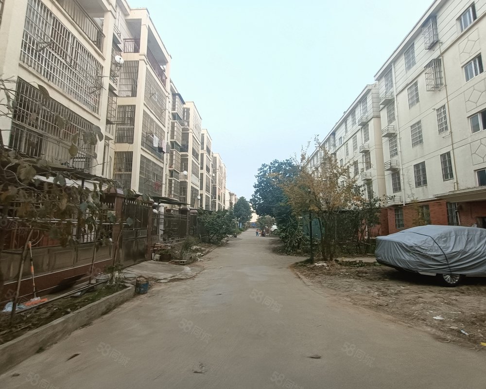 淮滨新村