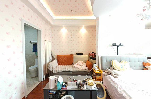 正翔公寓1室1厅47㎡23.8万二手房图片