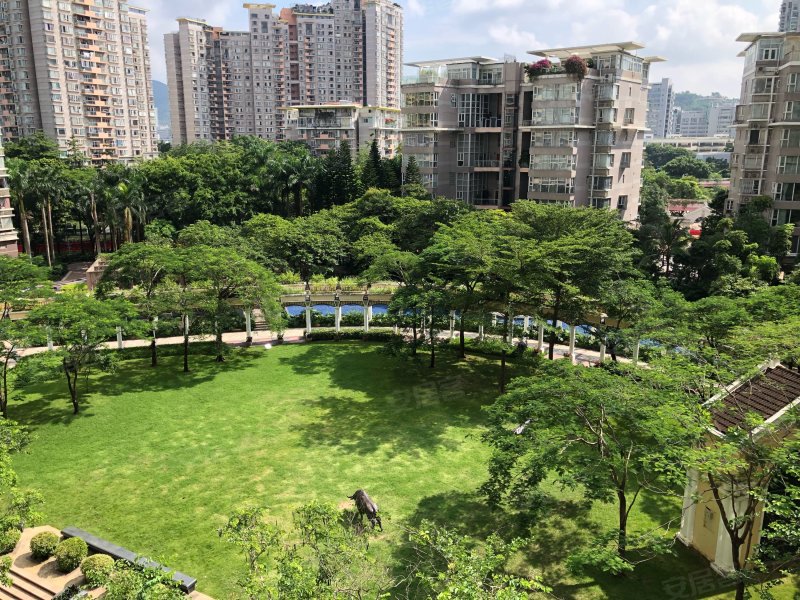 黄埔雅苑翠悠园,福中路318号-深圳黄埔雅苑翠悠园二手房,租房,房价