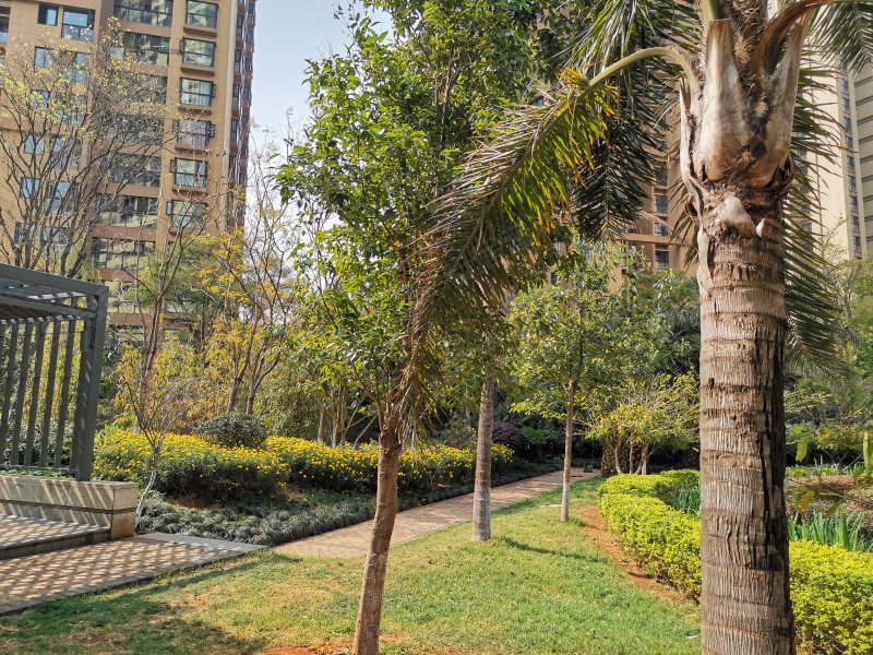 葡萄街区天宇花园