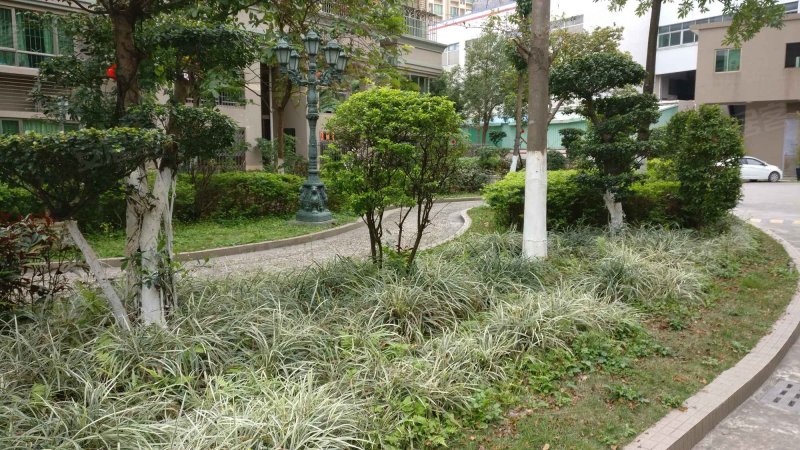 皇冠花园,文昌西路200号-中山皇冠花园二手房,租房,房价-中山安居客