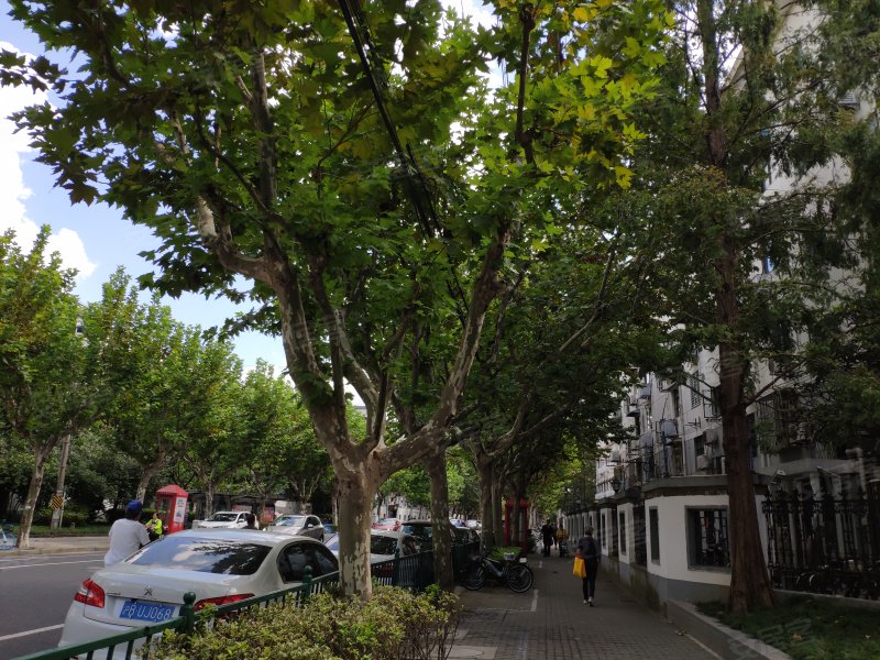 德州路288-312号小区 