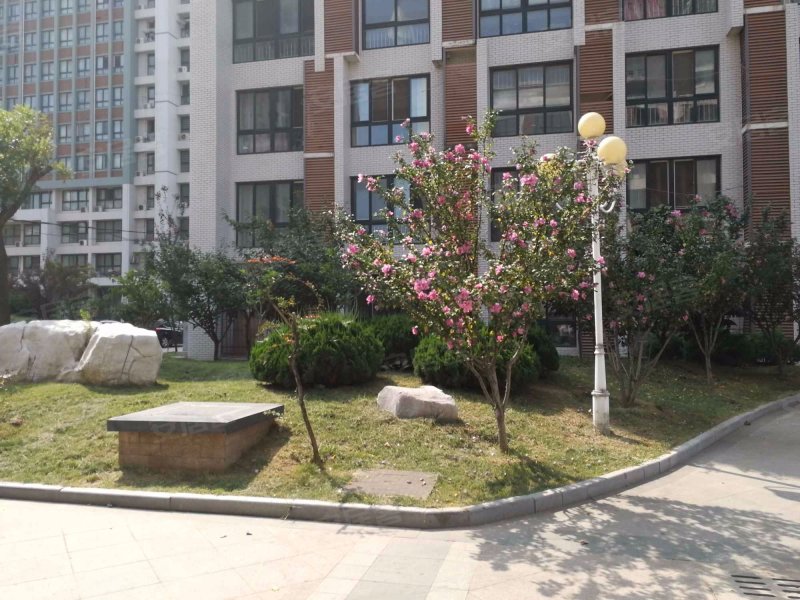 橡树湾,华庭路515号-烟台橡树湾二手房,租房,房价-烟台安居客
