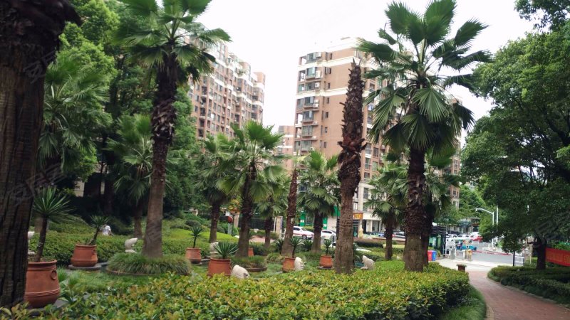 锦绣江南(滨江),咏渡巷59号-杭州锦绣江南(滨江)二手房,租房,房价