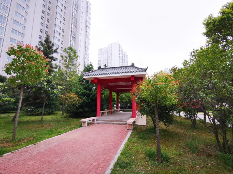 紫苑小区