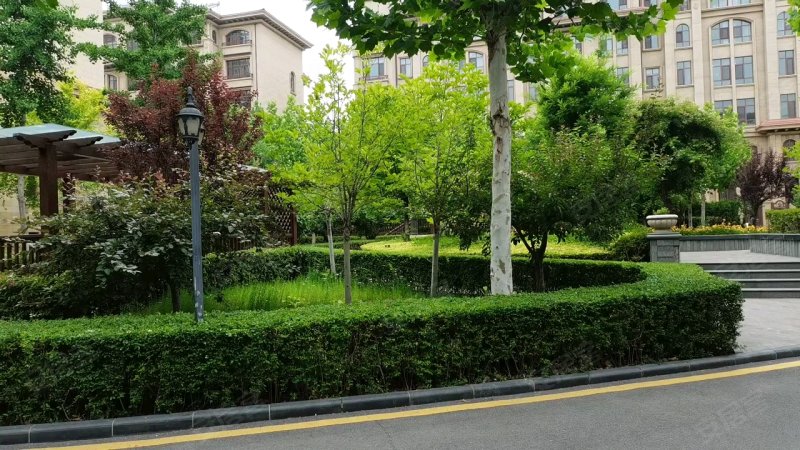 金屋秦皇半岛(九区别墅)