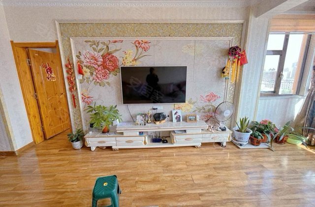 东辰瑞景3室2厅120㎡45万二手房图片