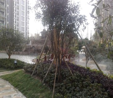 紫金港小区图片