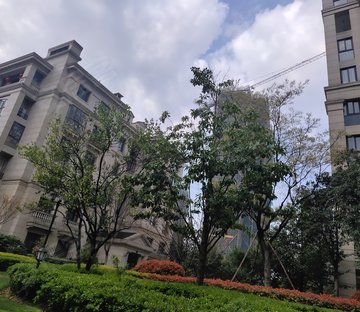绿城桃李春风(公寓住宅)