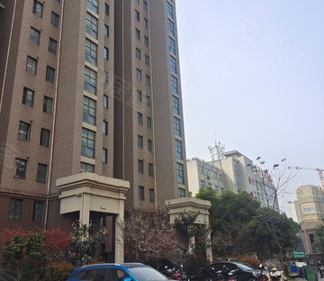 新城春天