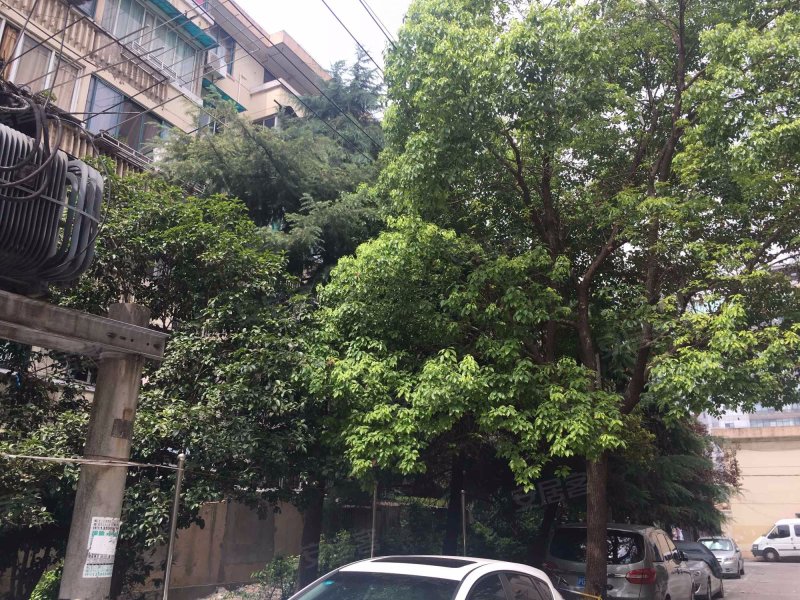 长江路848弄小区 