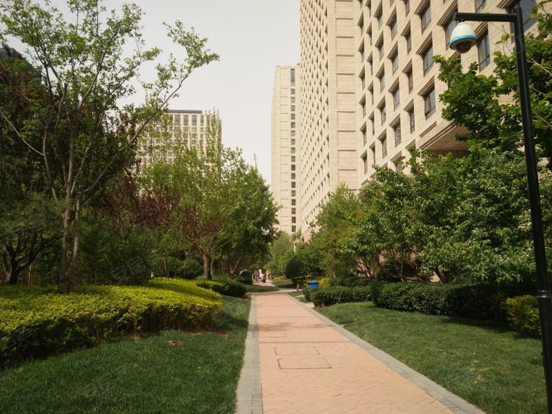 广渠金茂府(东区,广渠路23号-北京广渠金茂府(东区)二手房,租房,房价
