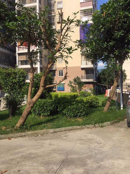 登云佳园(北区),登云支路10号-福州登云佳园(北区)二手房,租房,房价