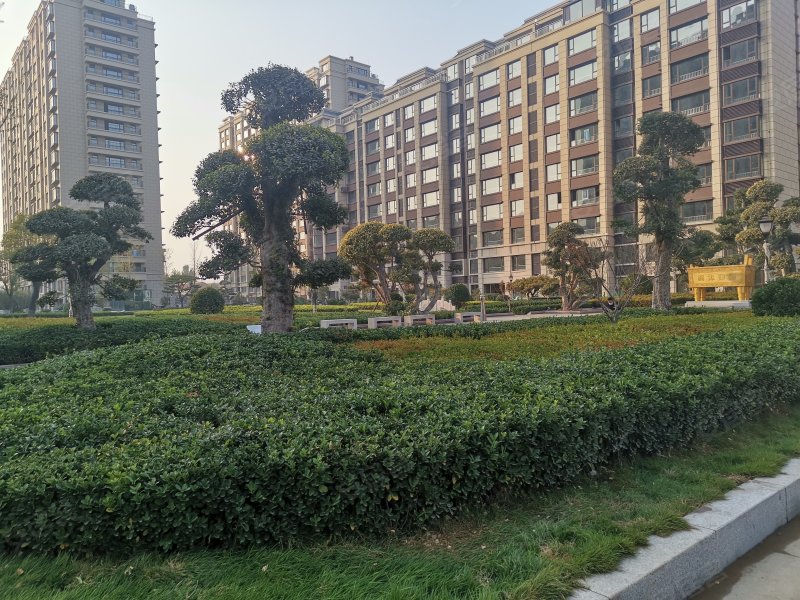 菲达香港花园
