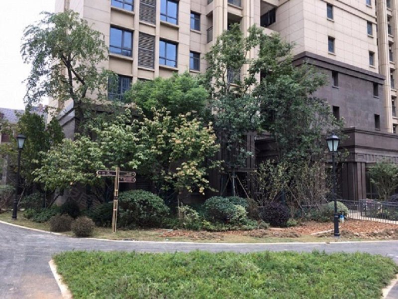 泷悦华府,关山大道-武汉泷悦华府二手房,租房,房价-武汉安居客