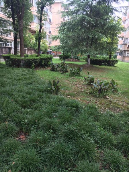 上实海上荟(公寓住宅) 