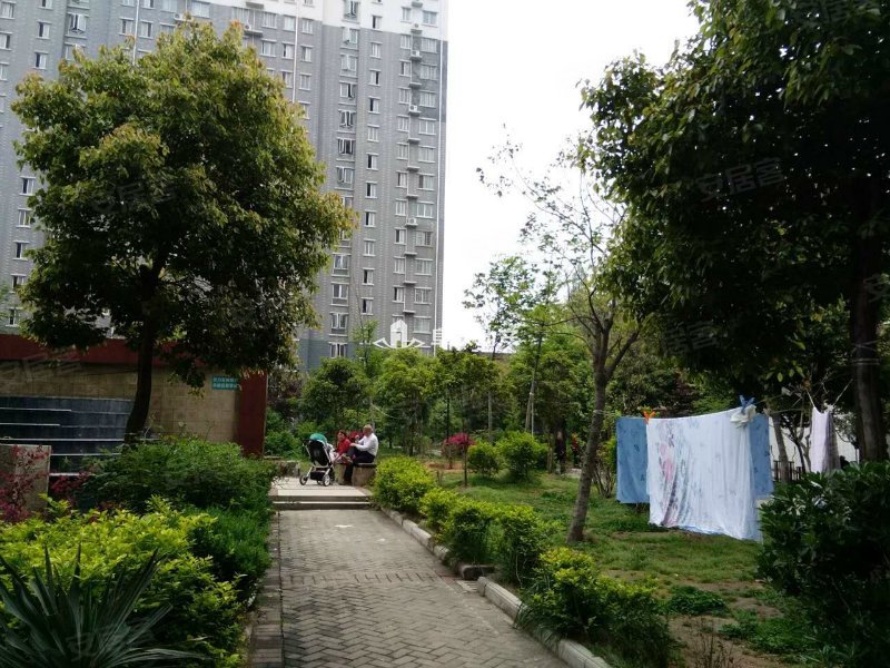 东方丽景,大庆东路44号-襄阳东方丽景二手房,租房,房价-襄阳安居客