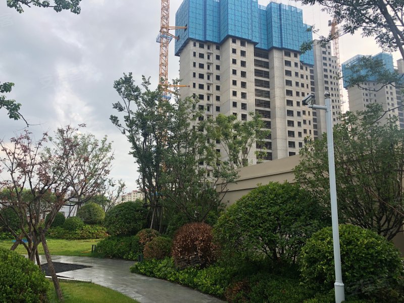 鲁商金茂观海印象,观海路-烟台鲁商金茂观海印象二手房,租房,房价