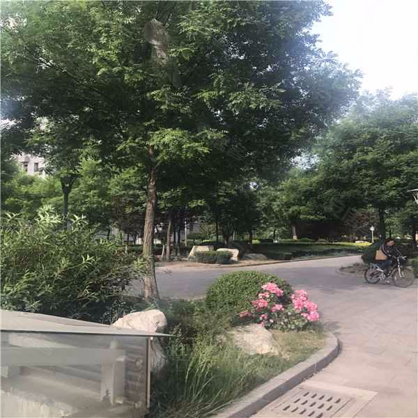 新悦田园牧歌,黄河八路-滨州新悦田园牧歌二手房,租房,房价-滨州安居