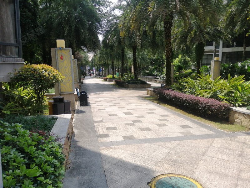 山水凤凰城天屿