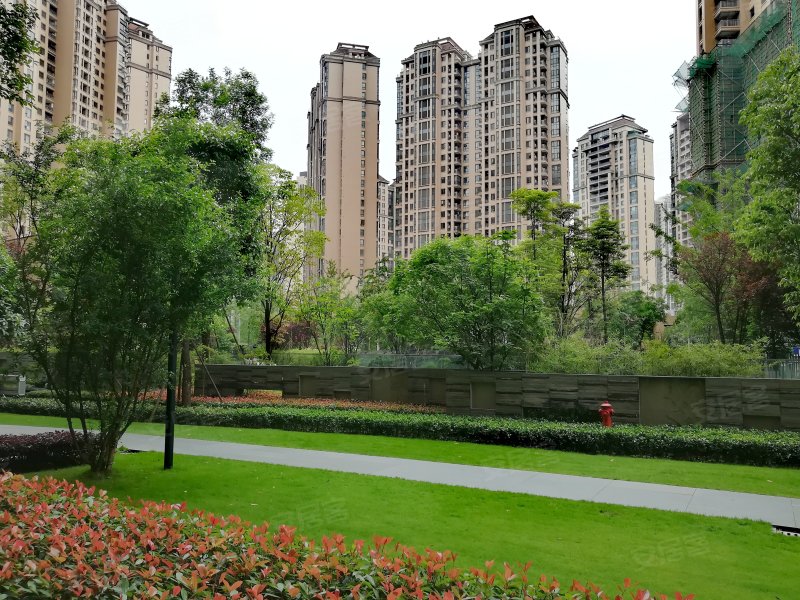 仁恒滨河湾(二期),汇源东路99号-成都仁恒滨河湾(二期)二手房,租房