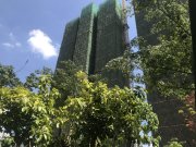 德威花园俩万即可刚需户型楼层好视野好无遮挡