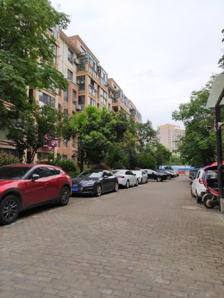 鑫旺盛世莲花,汤匙路-合肥鑫旺盛世莲花二手房,租房,房价-合肥安居客