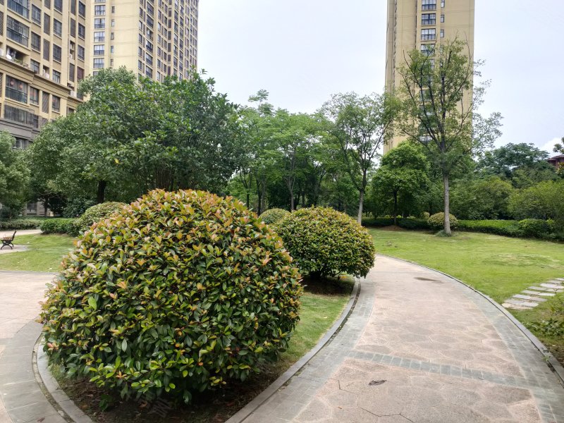 金辉枫尚,郎溪路-合肥金辉枫尚二手房,租房,房价-合肥安居客