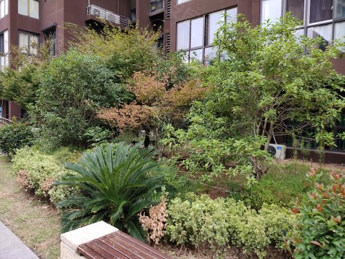 龙泽苑,东新南路559号 - 南京龙泽苑二手房,租房,房价-南京安居客