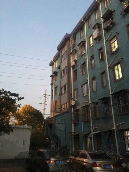 金桥新村一街坊 