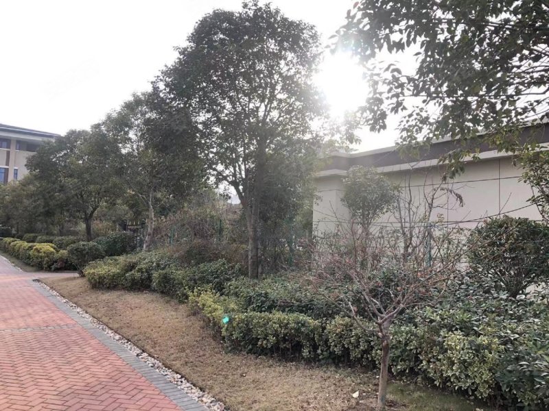 天明城名门府邸,松花江路-周口天明城名门府邸二手房,租房,房价-周口