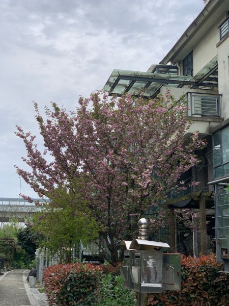 颐和名苑,洪塘南路东段9号-宁波颐和名苑二手房,租房,房价-宁波安居客