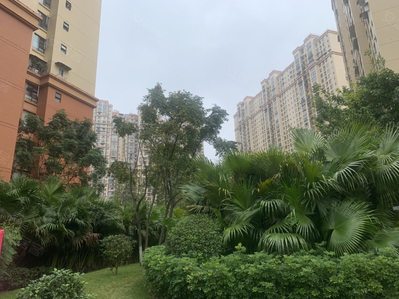 佳兆业君汇上品