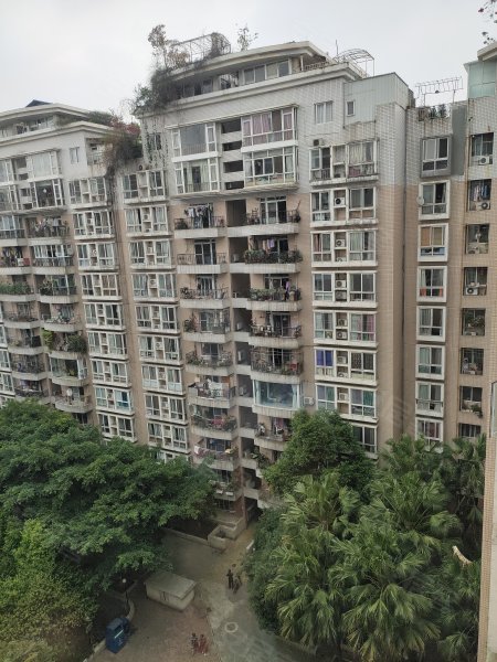 新加坡花园,桐梓林南路9号-成都新加坡花园二手房,租房,房价-成都安居